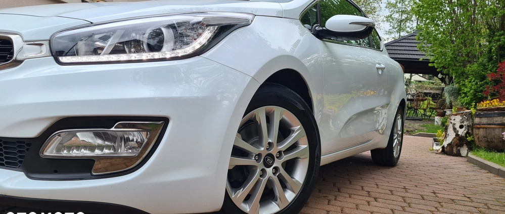 Kia Pro_cee'd cena 33900 przebieg: 190000, rok produkcji 2013 z Kietrz małe 781